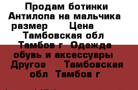 Продам ботинки Антилопа на мальчика, размер 37 › Цена ­ 500 - Тамбовская обл., Тамбов г. Одежда, обувь и аксессуары » Другое   . Тамбовская обл.,Тамбов г.